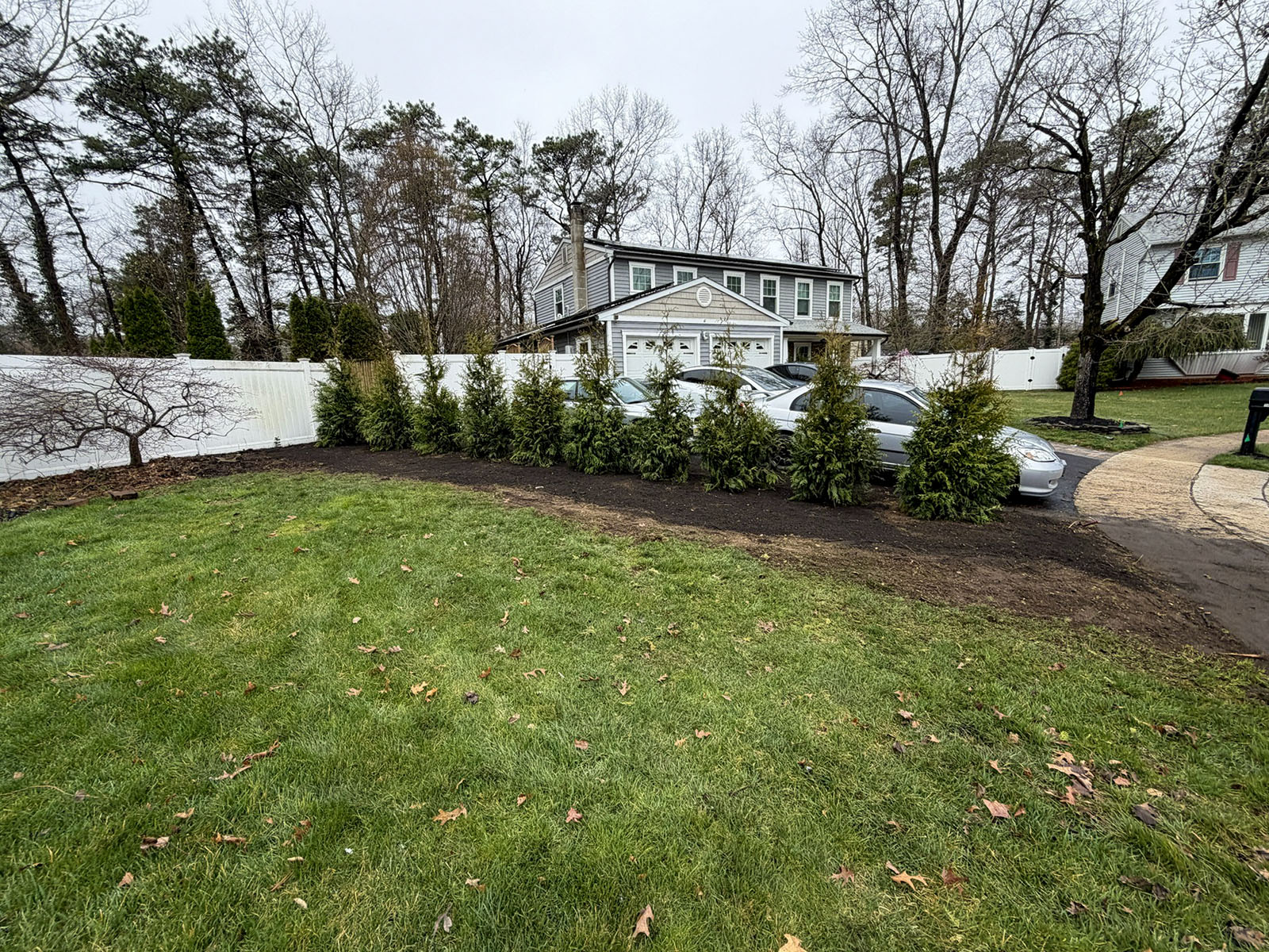 Long evergreen privacy screen and freshly prepared landscape bed