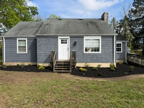 New foundation shrubs and black mulch bed along a residential home