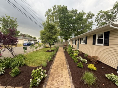 Brick front walkway bordered by new planting beds and dark mulch