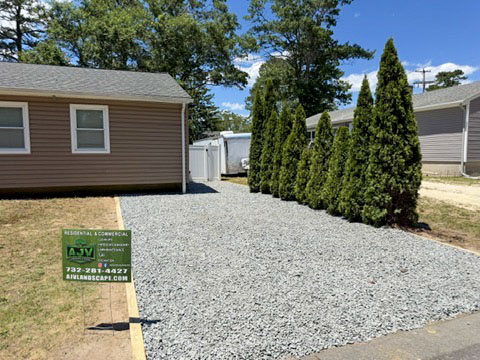 Fresh gravel driveway with evergreen privacy screening installed by AJV