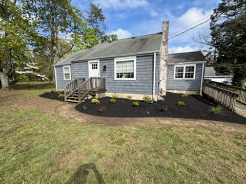Residential foundation landscape installation with new plants and black mulch